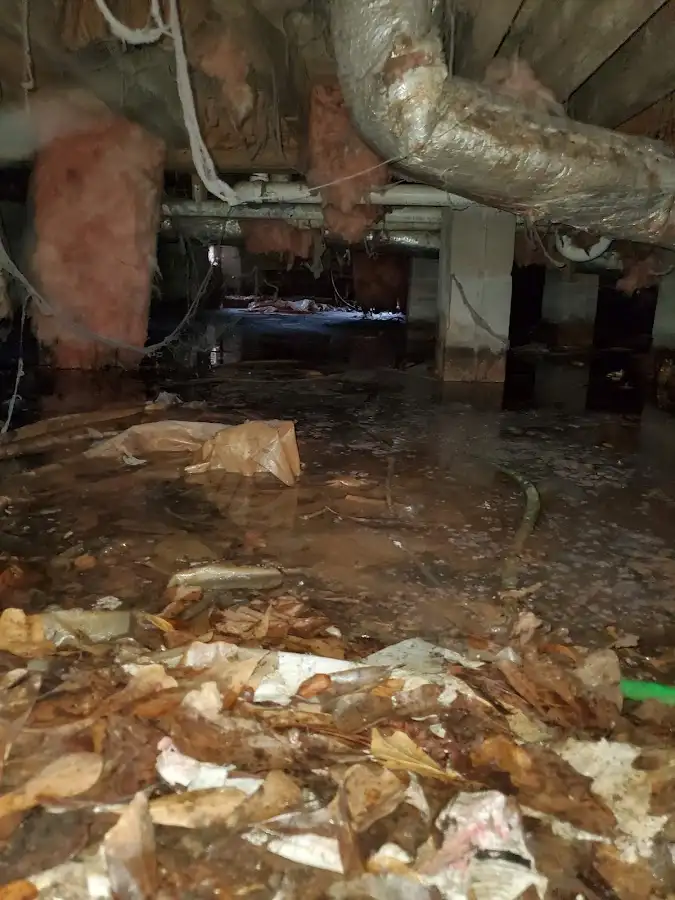 Crawl space flood assessment for Leak Detection & Repair in Midvale